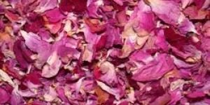 Dry Rose Petals