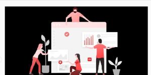 Web and App Development