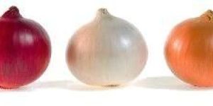 Onion
