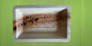 21X14cm Rectangular Areca Leaf Plate