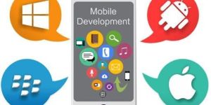 Code Igniter Development Services