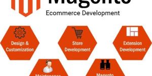 Magento E-commerce Development Services