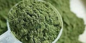 Organic Stevia Powder