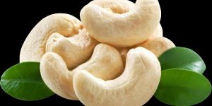 Cashew Kernels
