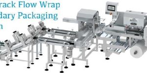 Two Track Flow Wrap Secondary Packaging System