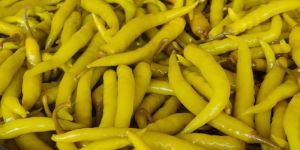 GREEN CHILLY IN ACETIC ACID