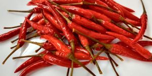 RED CHILLY IN ACETIC ACID