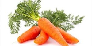 Fresh Carrot