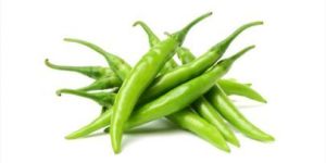 Fresh Green Chilli