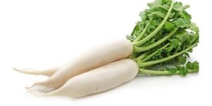 Fresh Radish