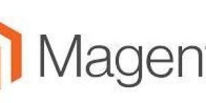 Magento E-commerce Development Services