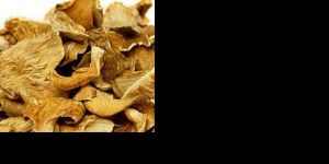 Dry Oyster Mushroom