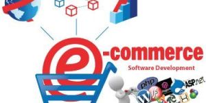 e-commerce Development Services