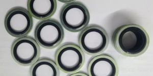 Rubber Bonded Sealing Washer