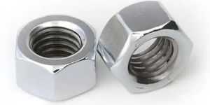 Stainless Steel Nut
