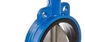Butterfly Valve