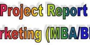 Customized Project Reports