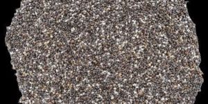 Chia Seeds