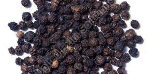 Raw Black Pepper Seeds