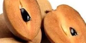 Frozen Chikoo Slices