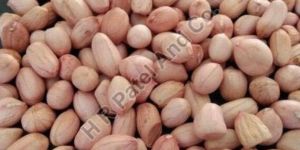 100/120 Java Groundnut Kernel
