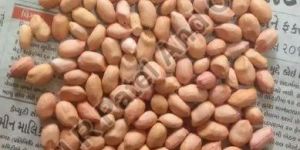 50/60 Bold Ground Nut Kernel