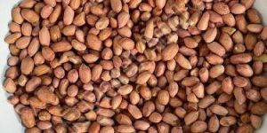 60/70 Bold Ground Nut Kernel