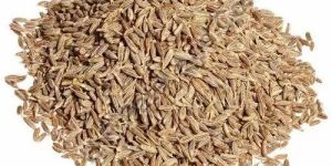 Brown Cumin Seeds