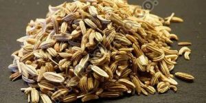 Brown Fennel Seeds
