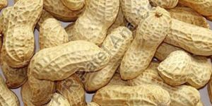 Whole Groundnut