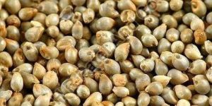 Whole Pearl Millet