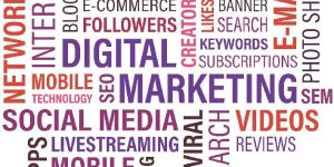 Digital Marketing Services