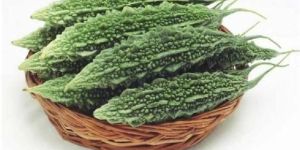 Fresh Bitter Gourd