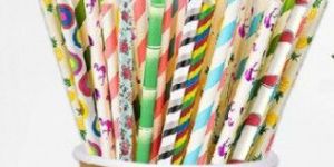Paper Straw