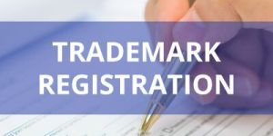 Trademark Registration Service