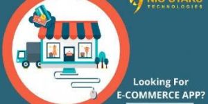 Ecommerce Website Development