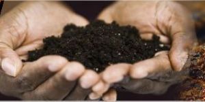 Rare Earths