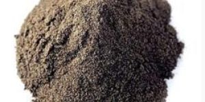 Black Pepper Powder