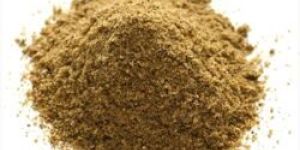 Cumin Powder