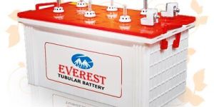 Inverter Batteries