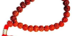 Rudraksh Bracelet