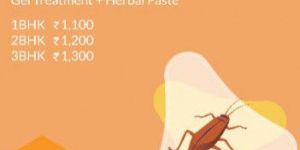 Cockroach Control Service