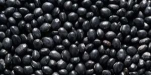 Kala Bhatt Soya Bean