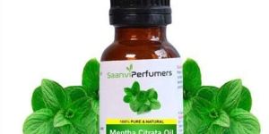 Mentha Citrata Oil