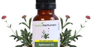 Spikenard Oil