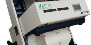 GENN GXM- Series Cashew Color Sorter Machine
