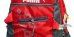 Puma Travel Backpack