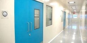 Clean Room Flush Door