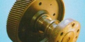 Precision Helical Gear