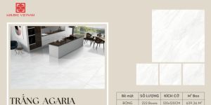 60 X 120 Digital Glazed Vitrified Tile